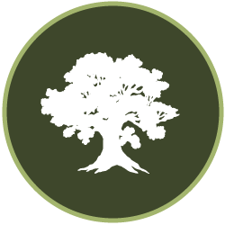 nature-based-curriculum image Tree icon